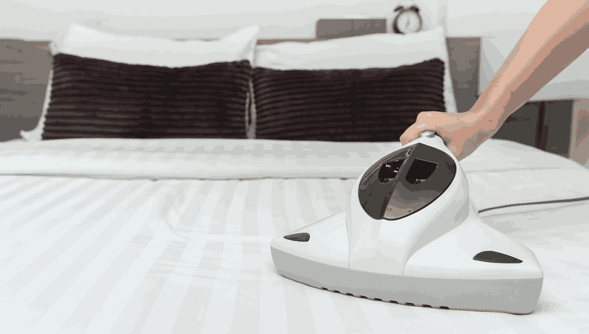 Professional Mattress Cleaning Williamstown